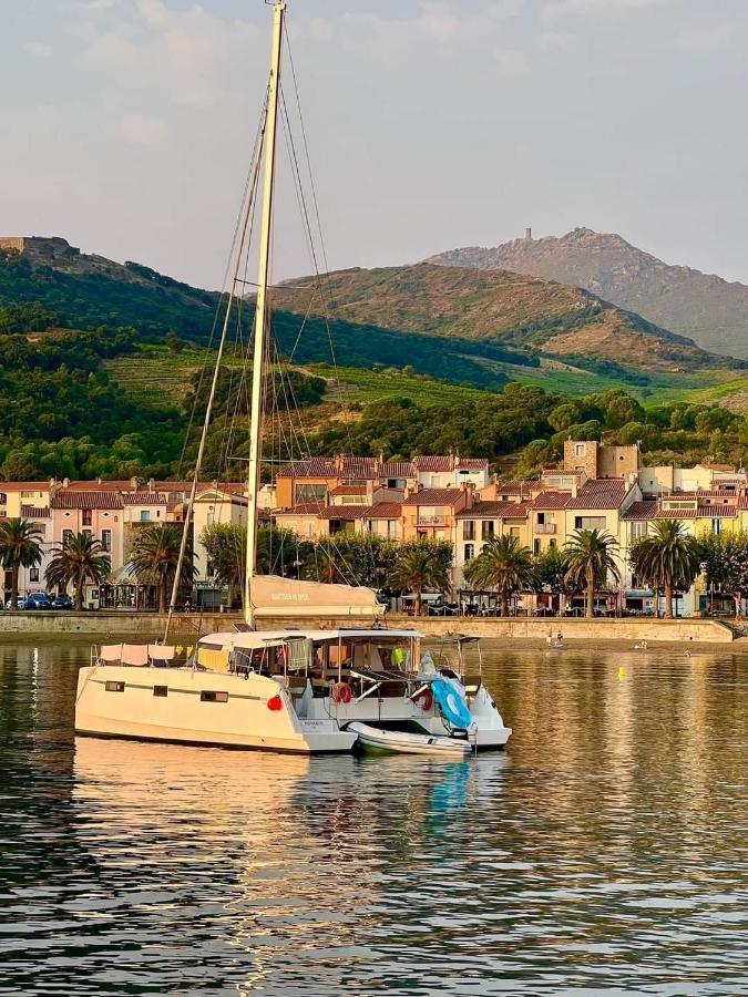 Charme A 20 M De La Plage Centre Village Collioure Exterior photo