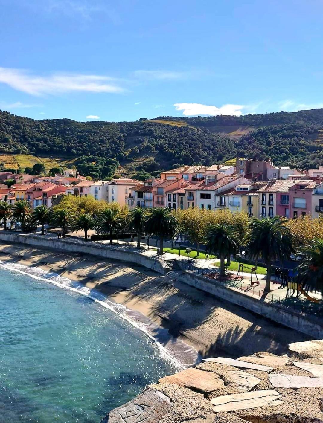 Charme A 20 M De La Plage Centre Village Collioure Exterior photo